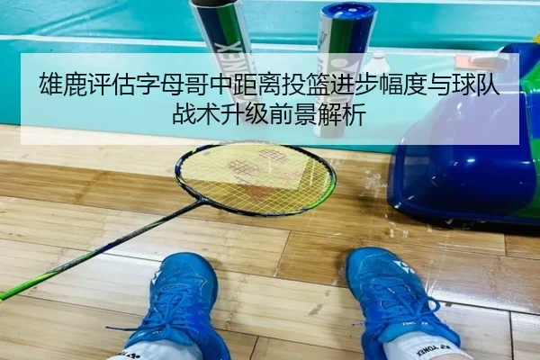 雄鹿评估字母哥中距离投篮进步幅度与球队战术升级前景解析 - kaiyun