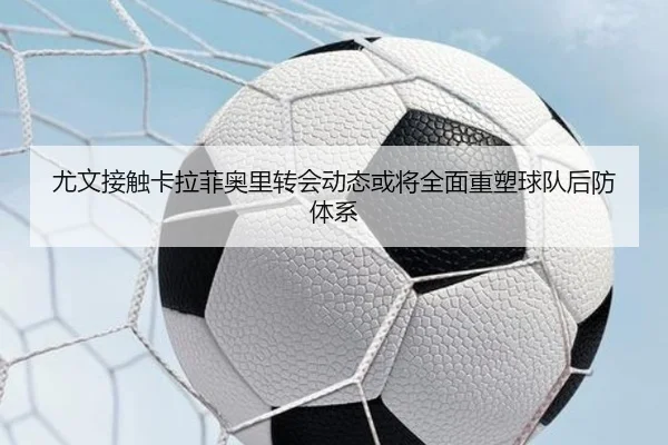 img_1783092812449_2730_1_914.jpg